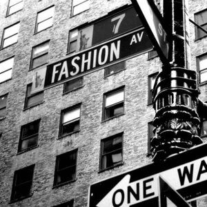 Meet your Posher, Sidney